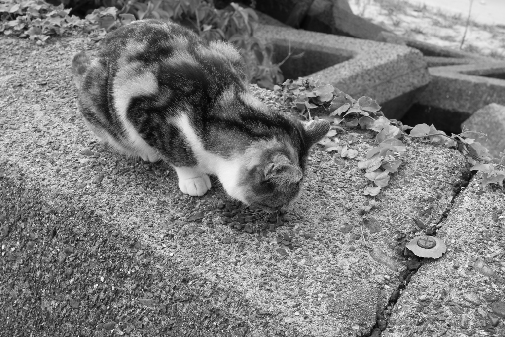 朝＠2020‐10‐03