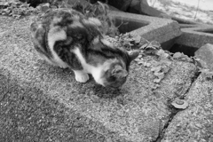 朝＠2020‐10‐03