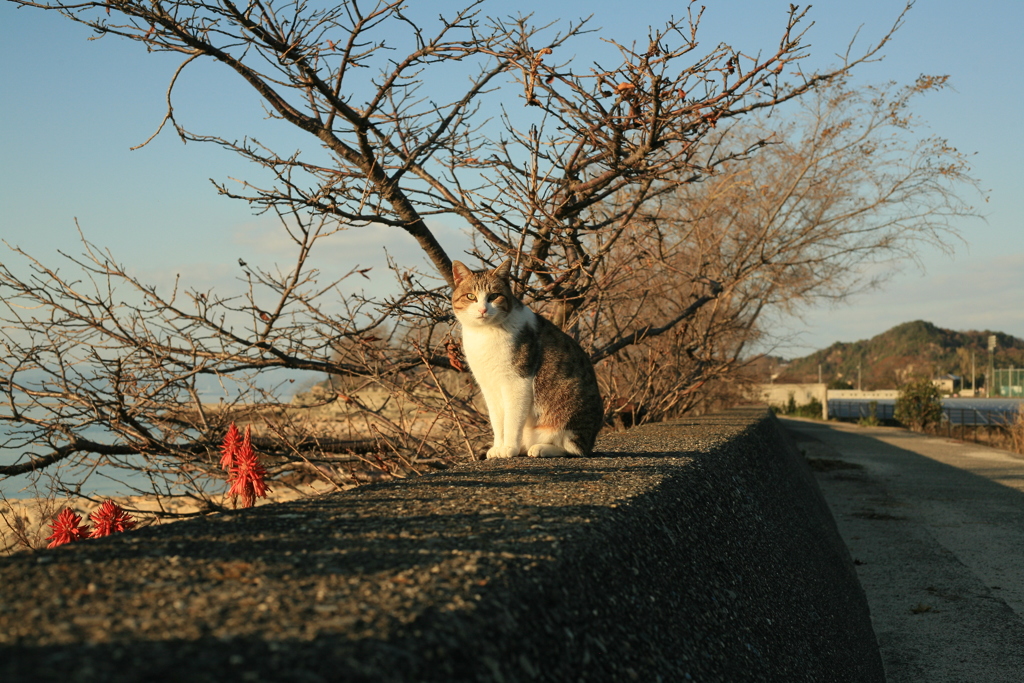 正月もいつも通り!(^^)!