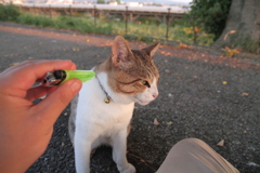 ライターはいらないトム君