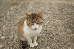 令和初日も平和な一日＠2019-05-01