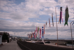 ヒマジンはGWもいつも通り