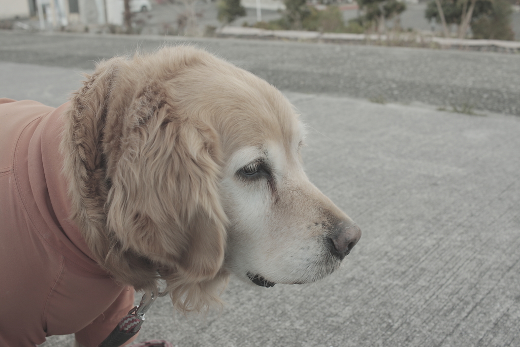 今日は本気で寒い　７