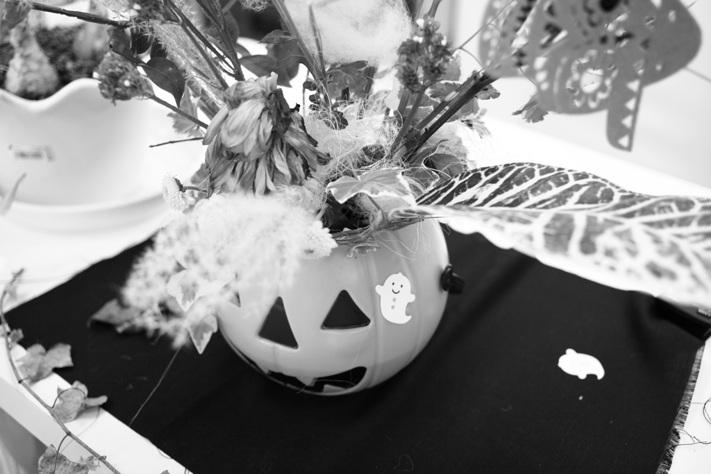 ココさん所の花