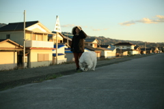 お兄さんと散歩してるココさん