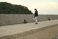 散歩してるチロル