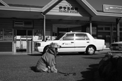 みゅうちゃんと駅まで散歩