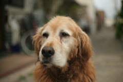 みゅうちゃん＠北条水軍ユースホステル