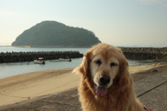 夕方、みゅうちゃんと散歩