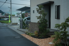 朝写真　古いEFズームレンズにて