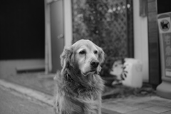 寒い日のみゅうちゃん