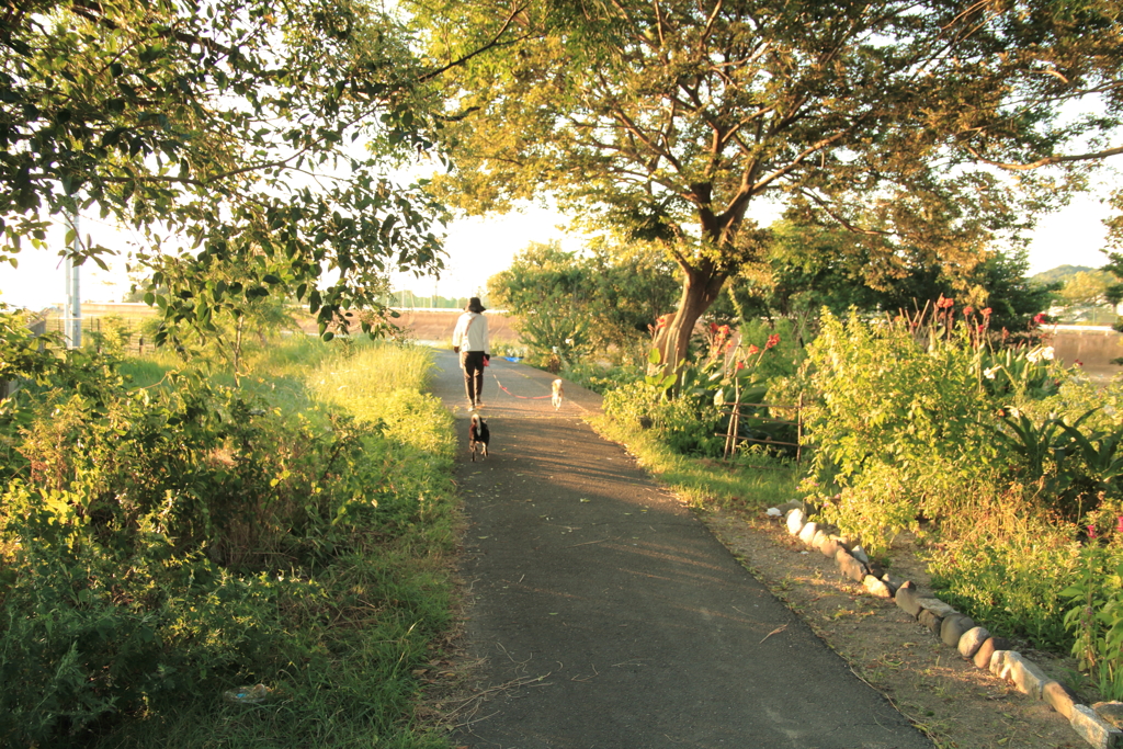 コントラスト抑えてるけどシグマのレンズ持ってる色が濃いいな