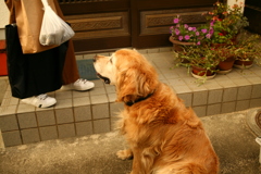 お隣さんにおやつをねだるみゅうちゃん