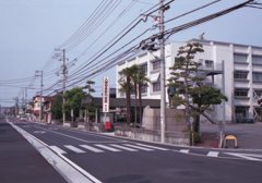 フィルムカメラEos650にて