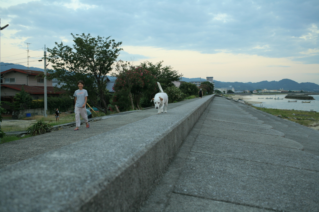 ククルちゃんがやってくる
