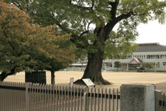 小学校は授業中