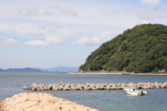 APS-Cに50mmは画角が不自然だな!(^^)!