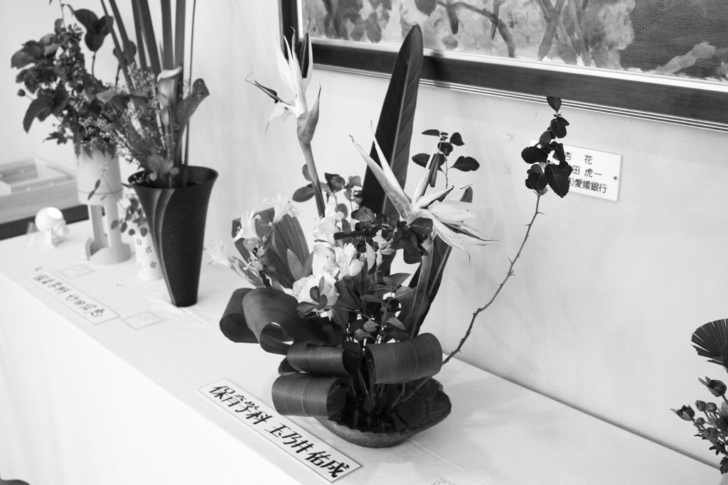 近所の大学の学園祭ちょっと見てきた