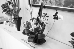 近所の大学の学園祭ちょっと見てきた