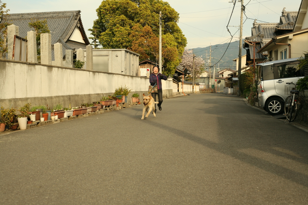 駆け寄ってくるサーブ