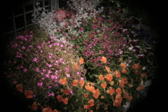 ホルガのトイレンズにて