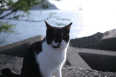 ハナクソついてる