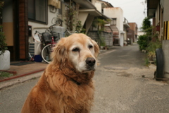 お宿番してるみゅうちゃん