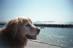 みゅうちゃんと海　フィルムにて