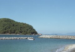 ロモ　カラーネガ100