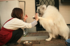 イェイをするココさん