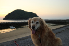 みゅうちゃんと浜に散歩