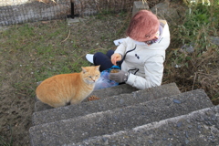 ご飯をもらうトラちゃん