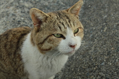 ＠2021‐03‐08