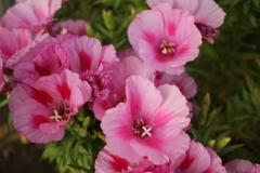 @2018-05-17 @2018-05-17