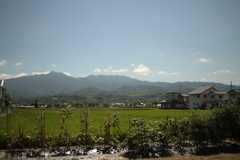 ピーカン不許可!(^^)!