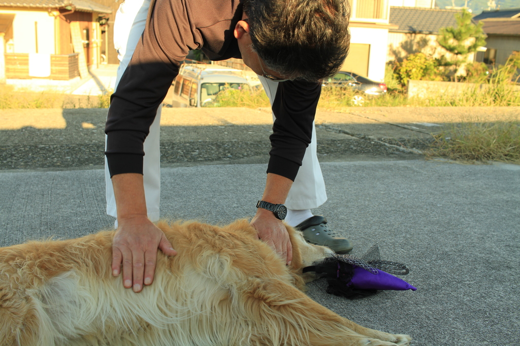 いずみさんによしよししてもらうみゅうちゃん