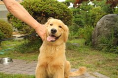 ＠2021‐07‐06