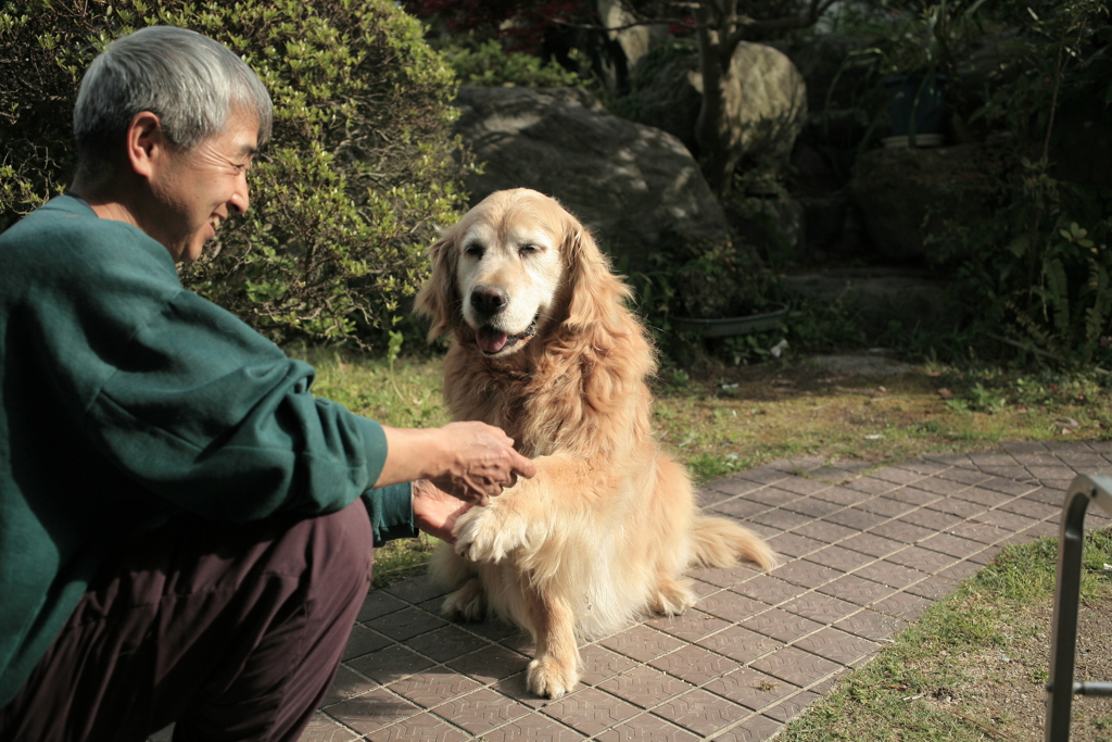 坂田さんにお手をするみゅうちゃん