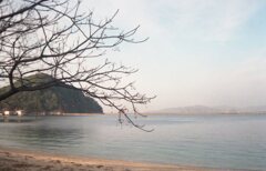 昨日　フィルムにて