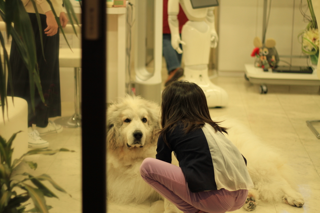 お店番してるココさん