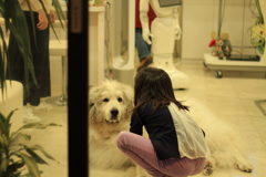 お店番してるココさん