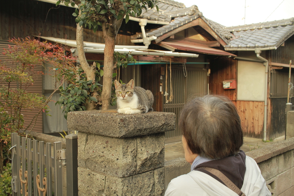 横山さんちの門番