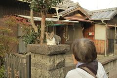 横山さんちの門番
