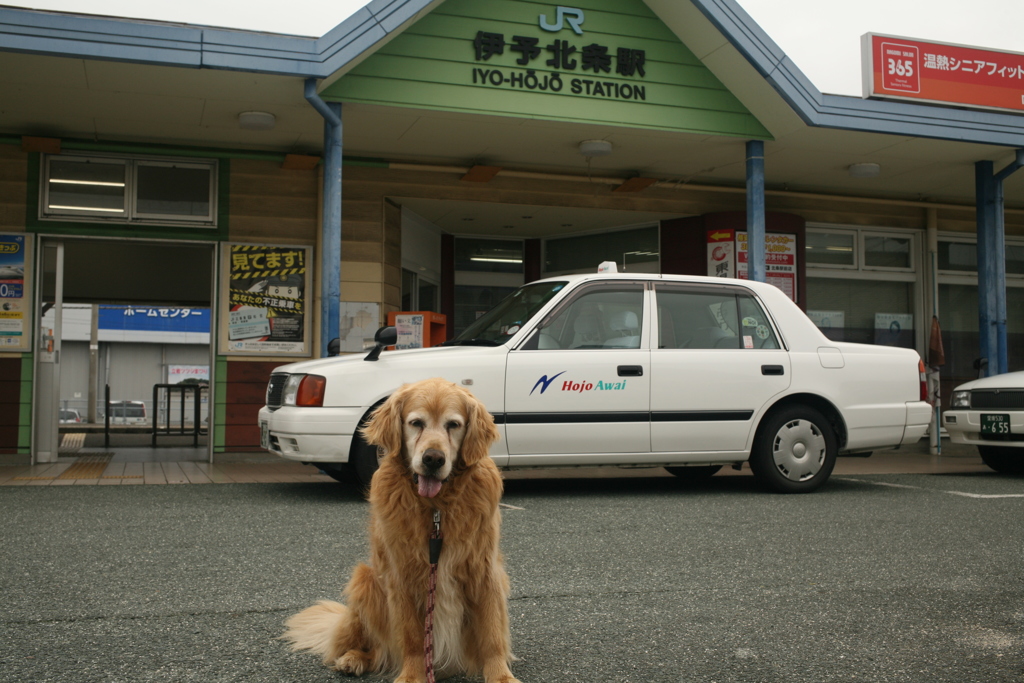 令和初日も平和な一日＠2019-05-01