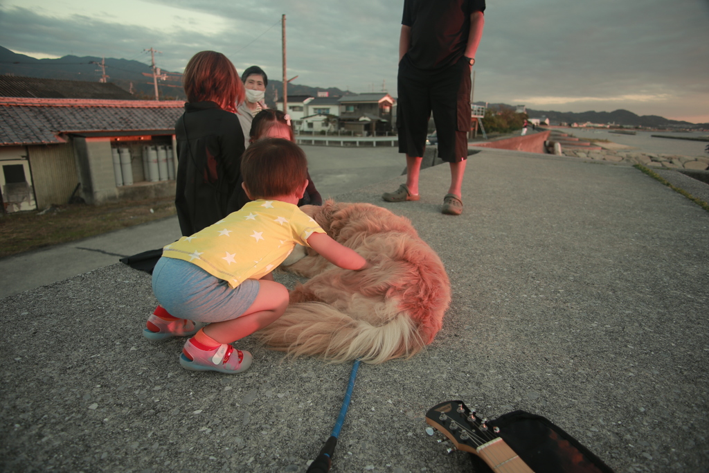 よしよししてもらうみゅうちゃん