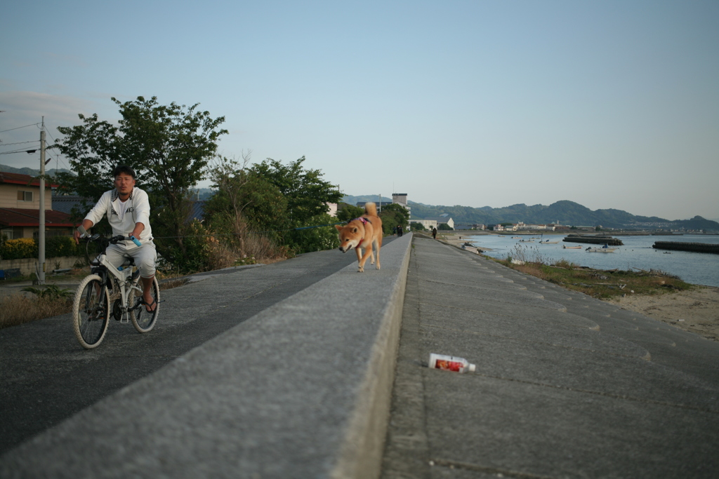 ついていきますぜお父ちゃん