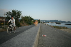 ついていきますぜお父ちゃん