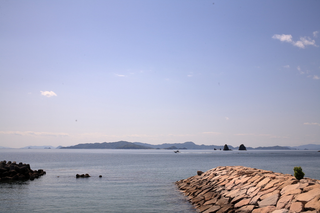 センサの微細なごみがとり切れない!(^^)!