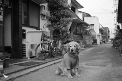 モノクロ