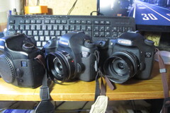 ５、６、７　鳥谷金本アリアスみたいなもんやな